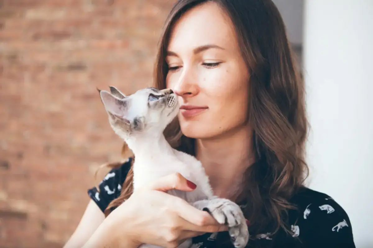 Read more about the article Understanding Why Does My Cat Lick My Nose