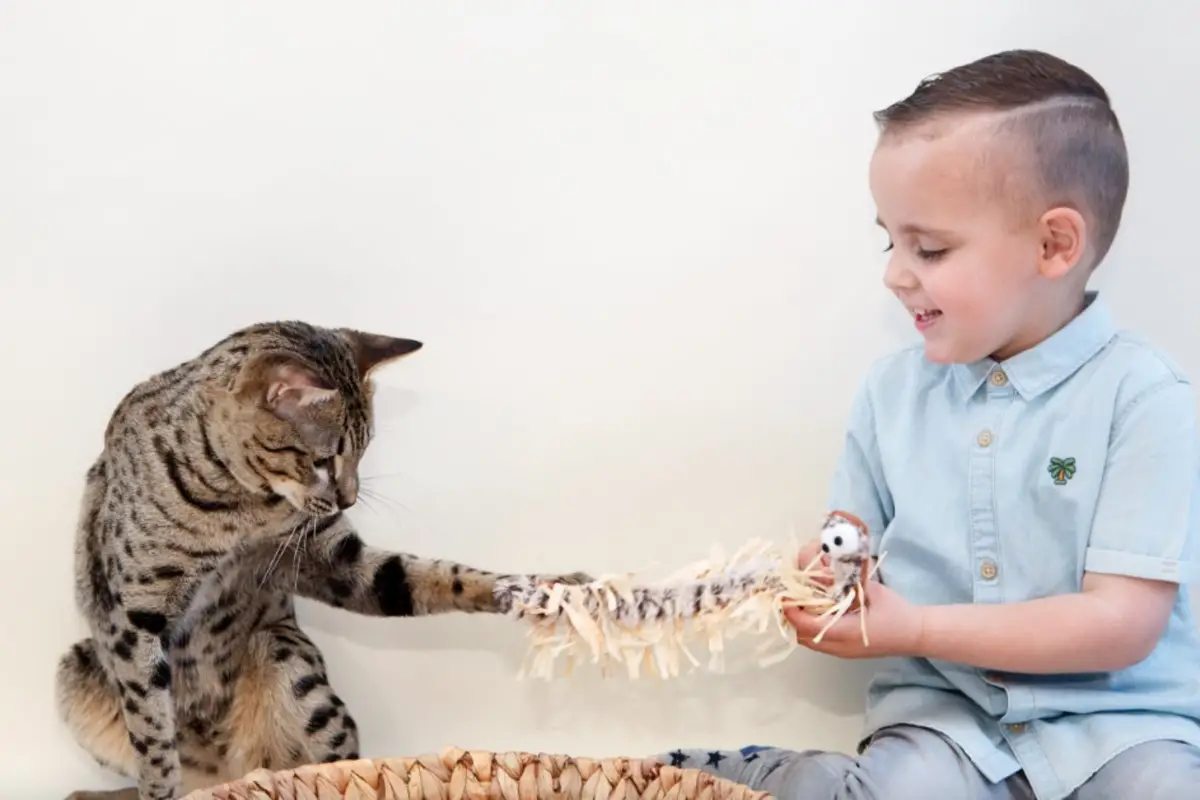 Read more about the article Are Bengal Cats Good With Kids – A Comprehensive Guide