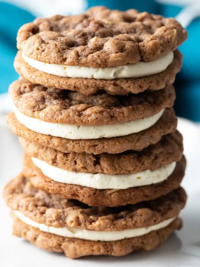 Read more about the article Can Dogs Eat Oatmeal Cream Pies?