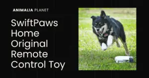 Read more about the article SwiftPaws Home Original Remote Control Toy For Dogs Review