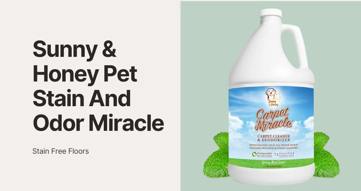 Read more about the article Sunny & Honey Pet Stain And Odor Miracle Review? Worth It?